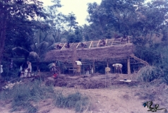 Jungle river base of operations under construction