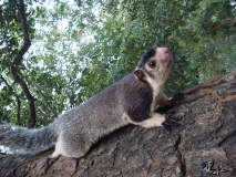 I'm cute and friendly so feed me! Check out Galapitia Rocks