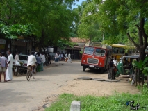 Downtown Okkampitiya