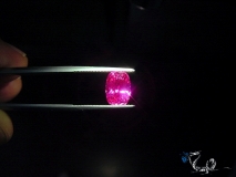 Hot Pink Sapphire 4cts unheated