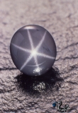 Gray Star Sapphire 4.67 cts (na)