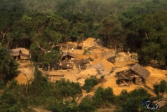 A remote jungle mining operation
