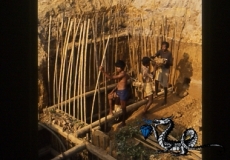 Anatomy of a pit mine