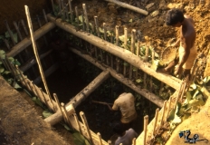 Anatomy of a pit mine