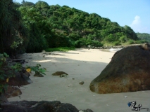 33-Jungle-Beach-2