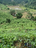 58-Ratnapura-countryside-2