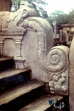 6-Ancient-carving.-Anuradhapura-or-Polonnaruwa-sorry-I-forgot